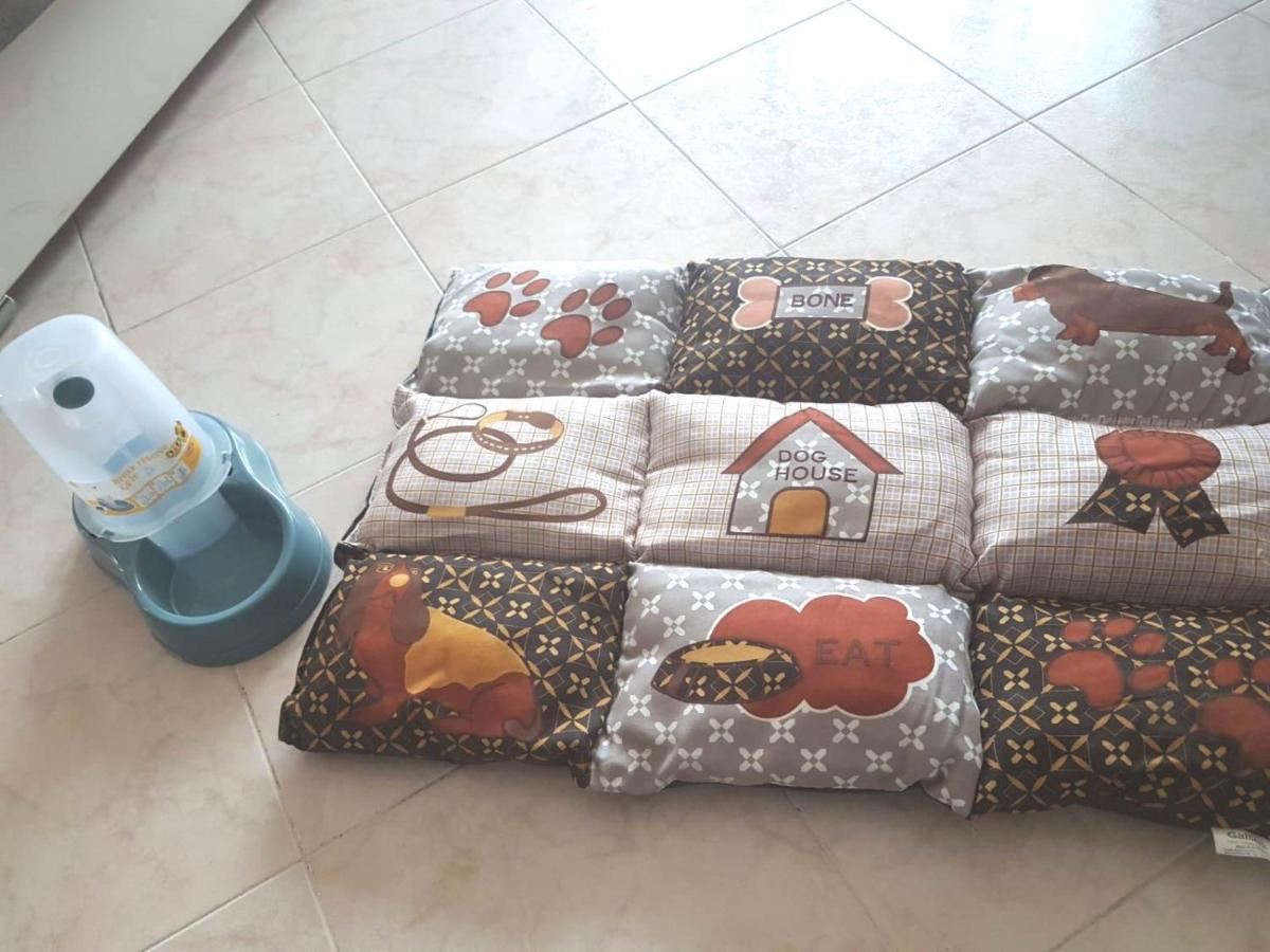 Isotta Guest House Family E Pet Friendly Περούτζια Εξωτερικό φωτογραφία